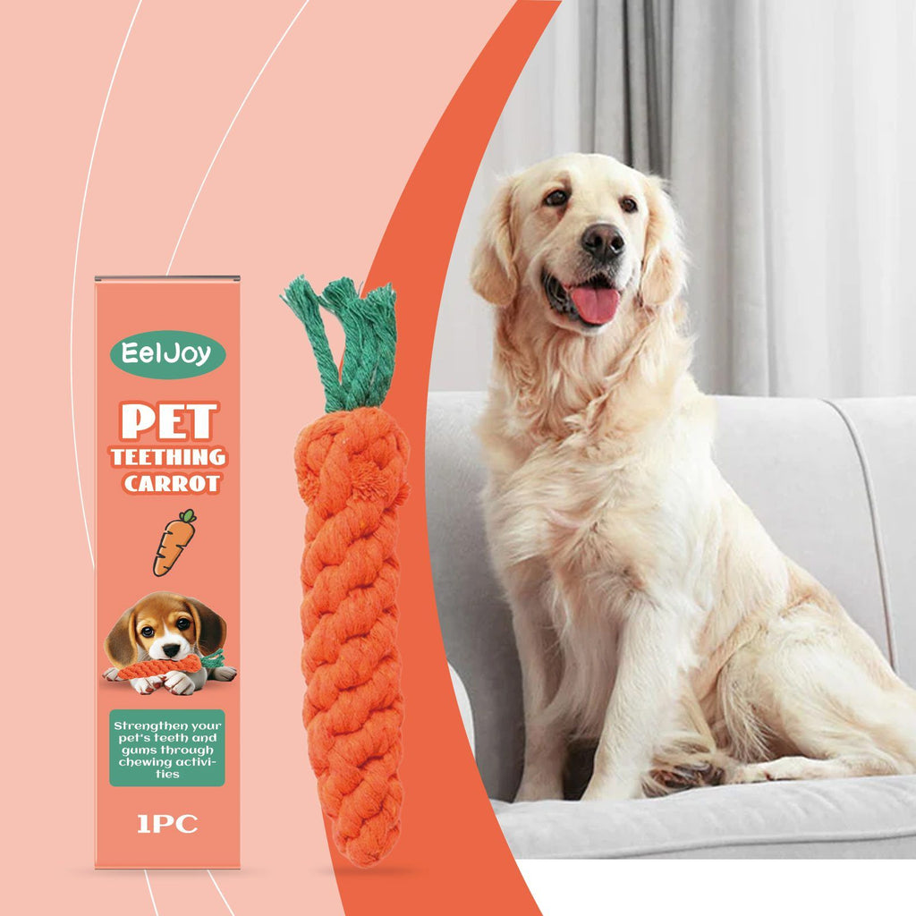 Golden retriever sitting on a couch beside the carrot-shaped chew toy and its box