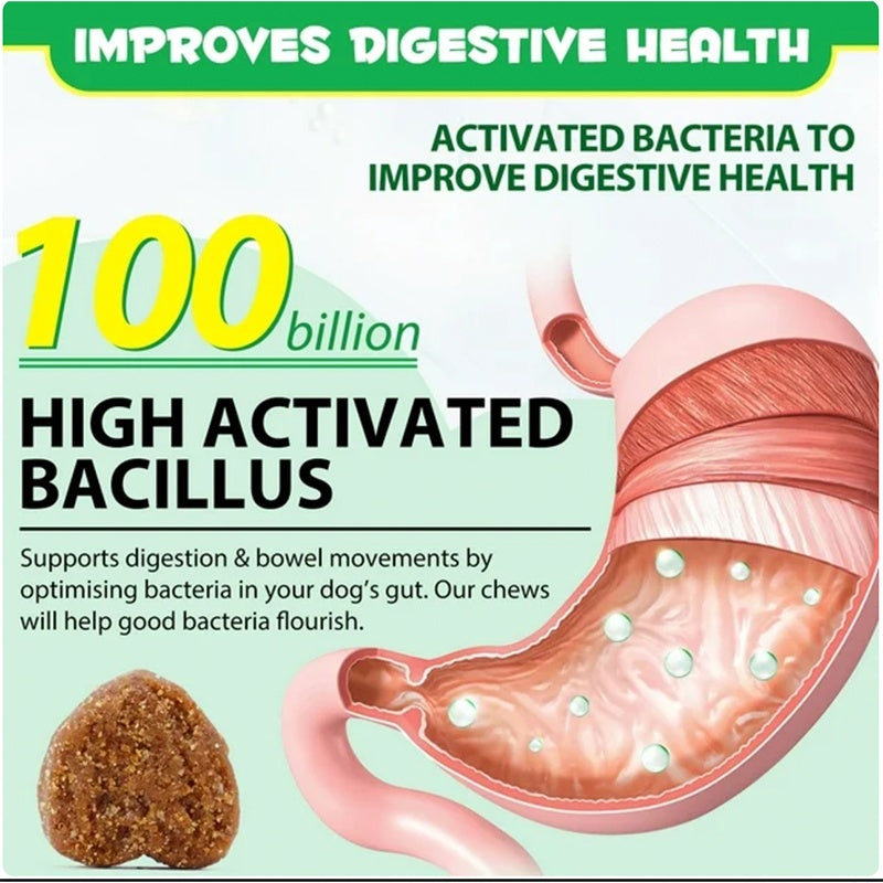 Infographic showing 100 billion activated bacillus improving digestive health in a dog's stomach