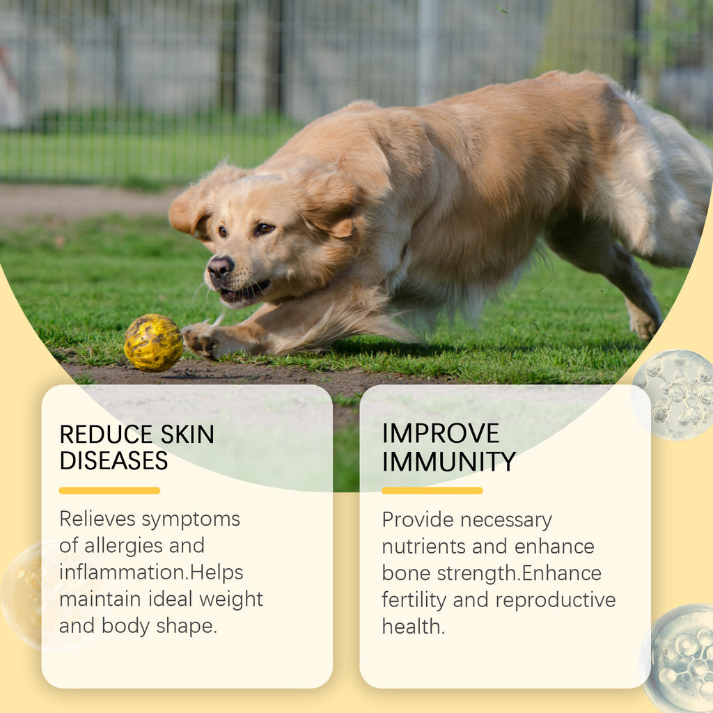 Golden retriever playing with a ball, reduce skin diseases and improve immunity callouts