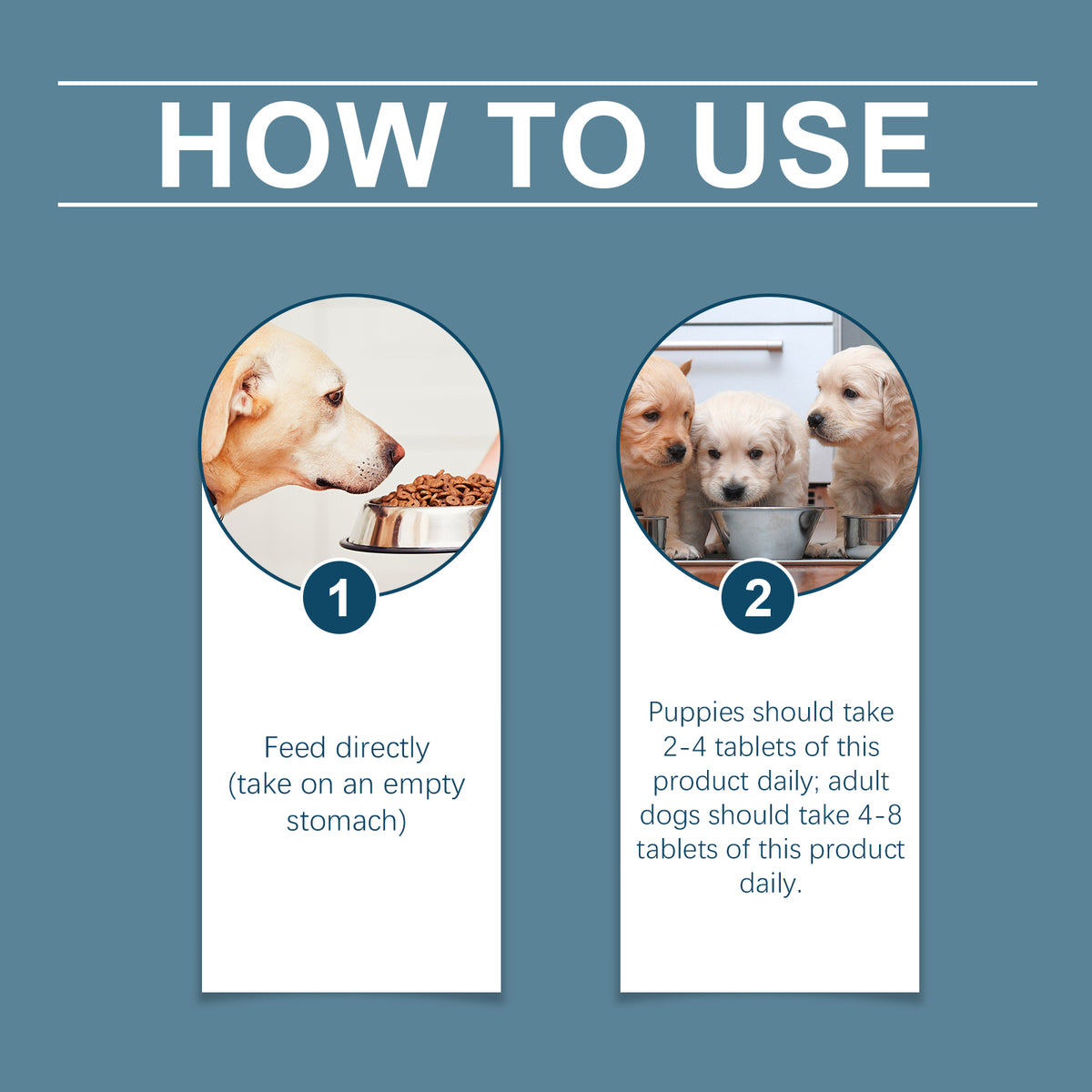 How to use graphic showing empty stomach feeding and puppy versus adult dog dosage steps