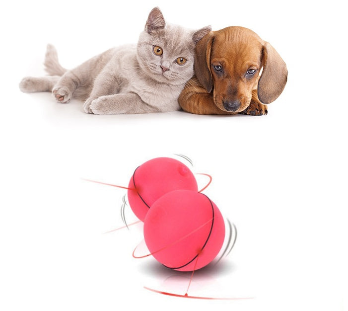 Cat and dog puppy sitting above a pink LED ball toy with its laser light beam shown