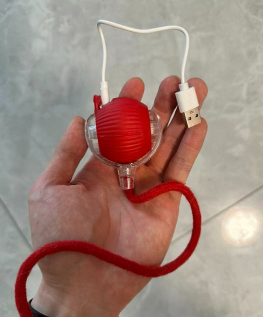 Hand holding the rolling pet toy while it charges via USB cable