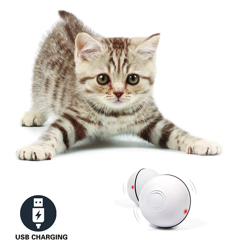 Kitten crouching to play beside a white LED ball toy with a USB charging icon