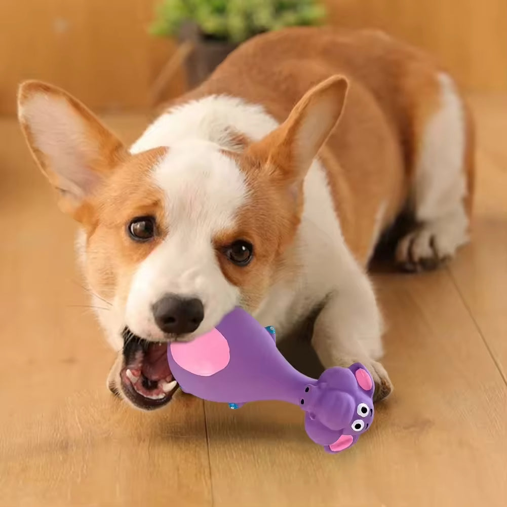 Corgi biting the purple elephant-shaped latex chew toy