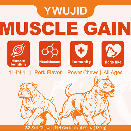 YWUJID Muscle Gain 11-in-1 pork flavor soft chew canister label showing muscle building and immunity icons