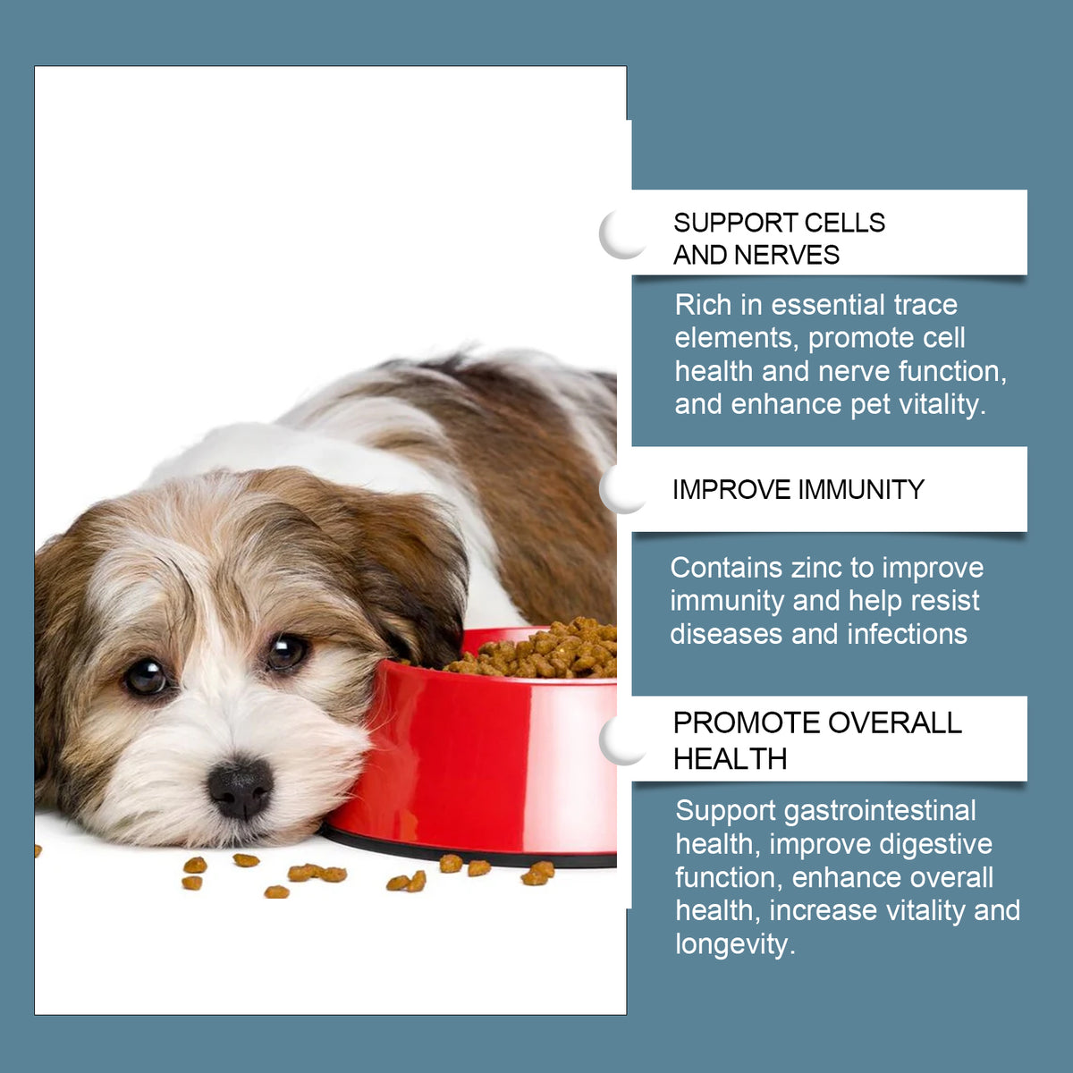 Small dog resting by a food bowl with cell support, immunity, and overall health benefits listed