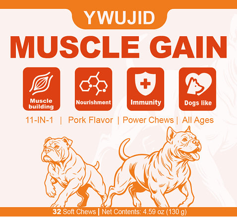 YWUJID Muscle Gain soft chew canister label, front view showing 32 soft chews net contents