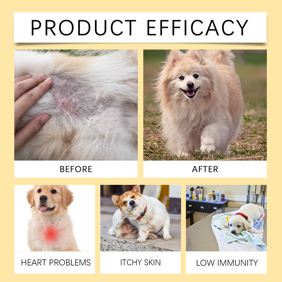 Product Efficacy before and after comparison showing itchy skin improving with fish oil supplement