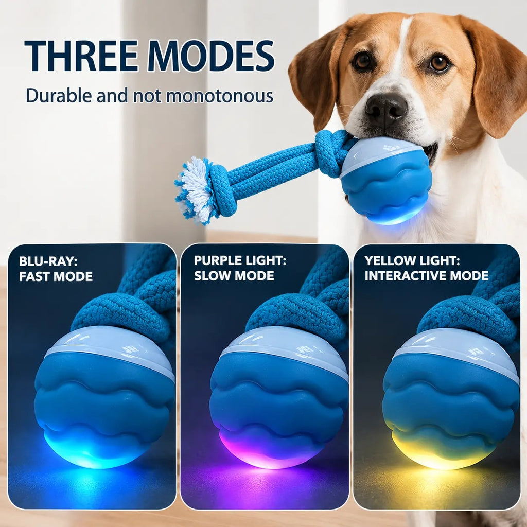 Beagle holding the rope toy in its mouth above three LED light mode color options