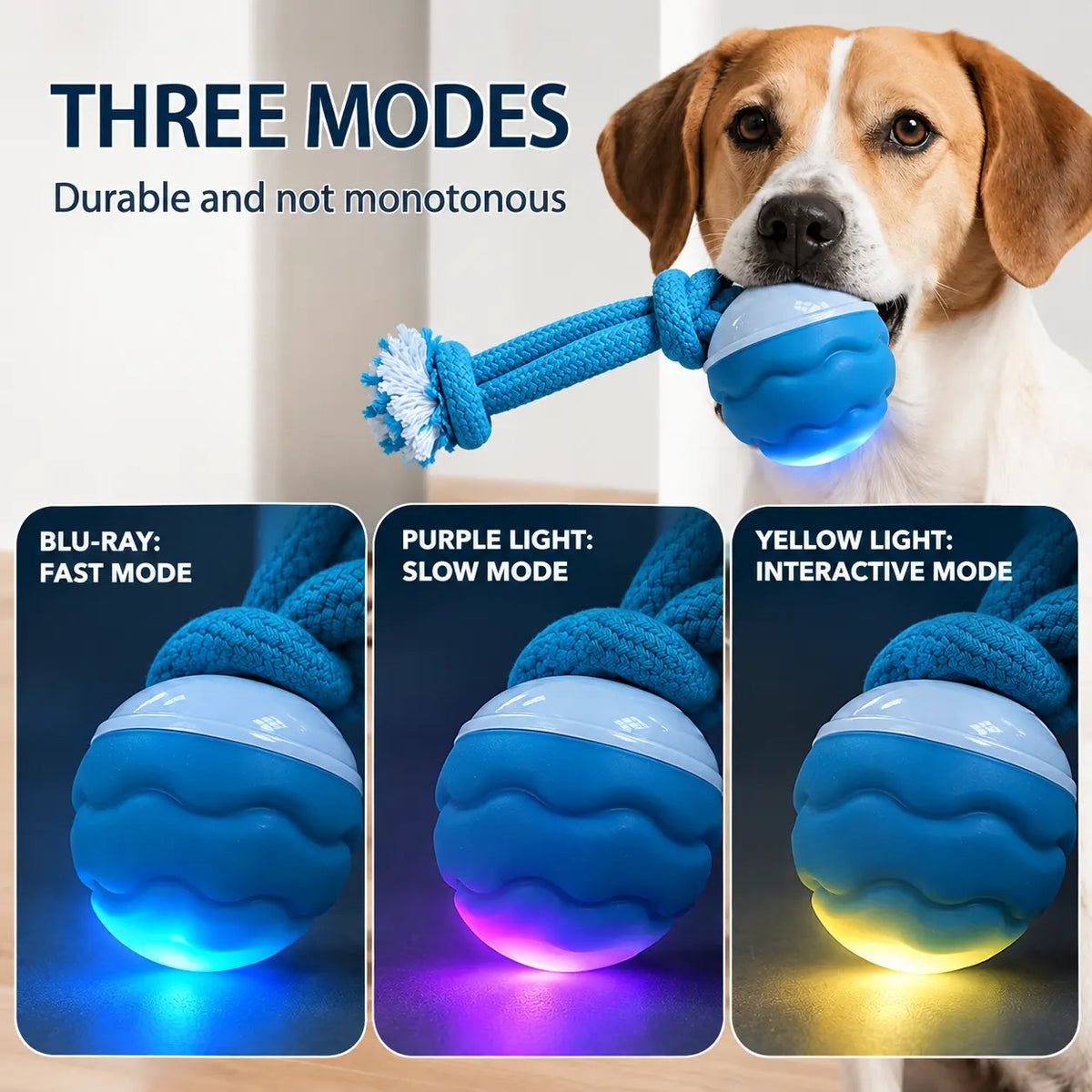 Beagle holding the rope toy in its mouth above three LED light mode color options
