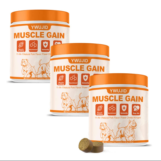 Three-canister bundle of YWUJID Muscle Gain dog soft chews with a chew shown in front