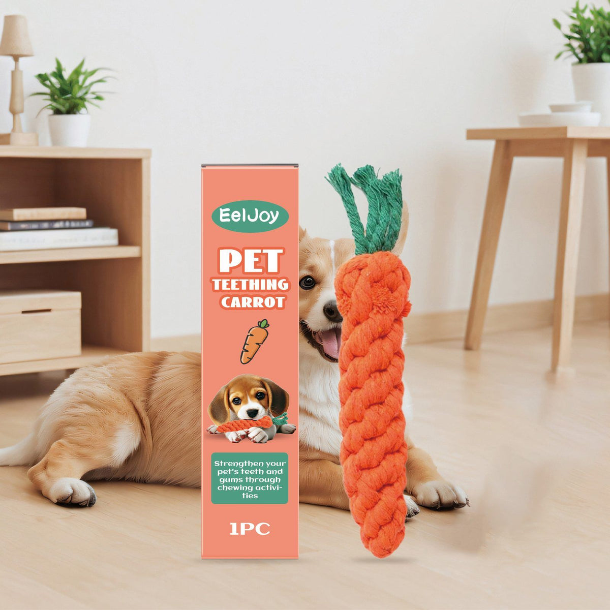 Corgi lying with the carrot-shaped chew toy in a living room, box beside it