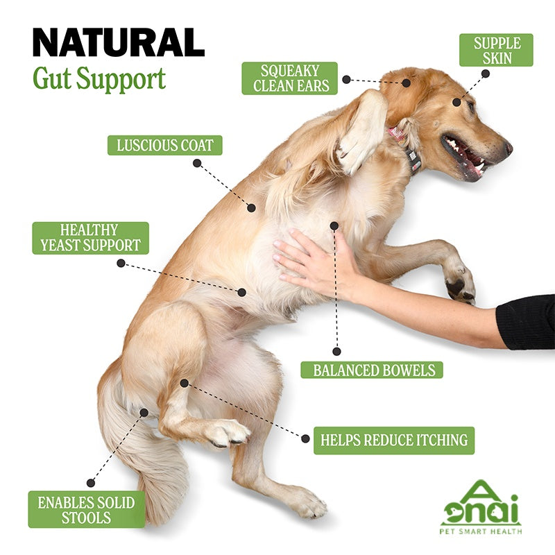 Diagram of a dog with callouts for clean ears, supple skin, luscious coat, and gut support benefits