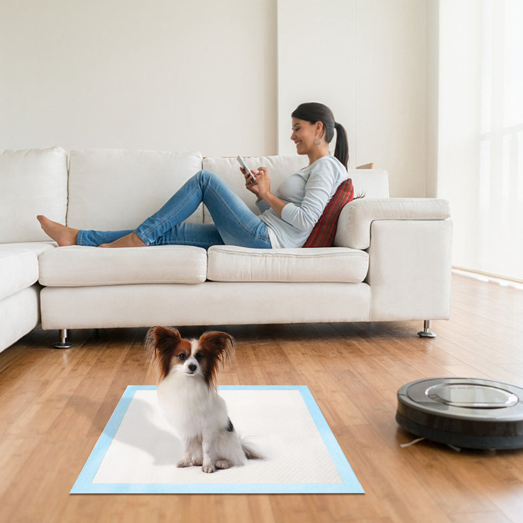 Dog and cat training pads, 50-pack, 24 x 18 inches