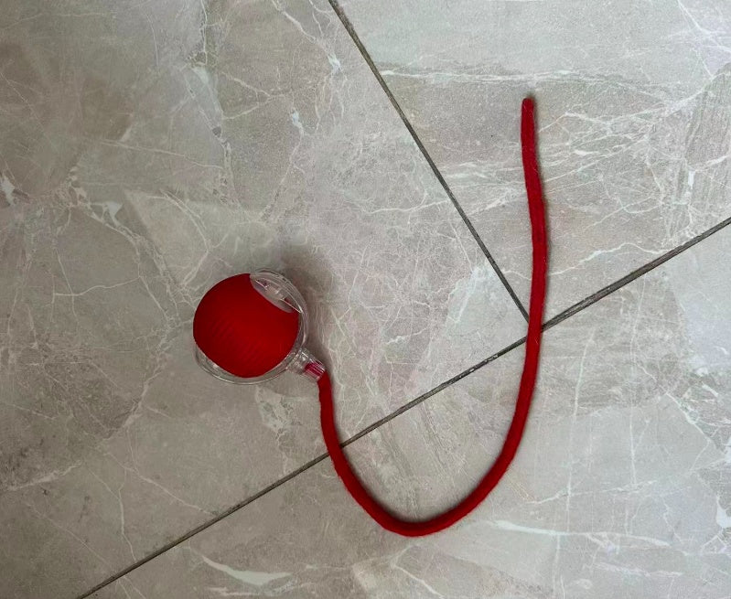Overhead view of the red rolling pet toy and its rope laid out on a tile floor