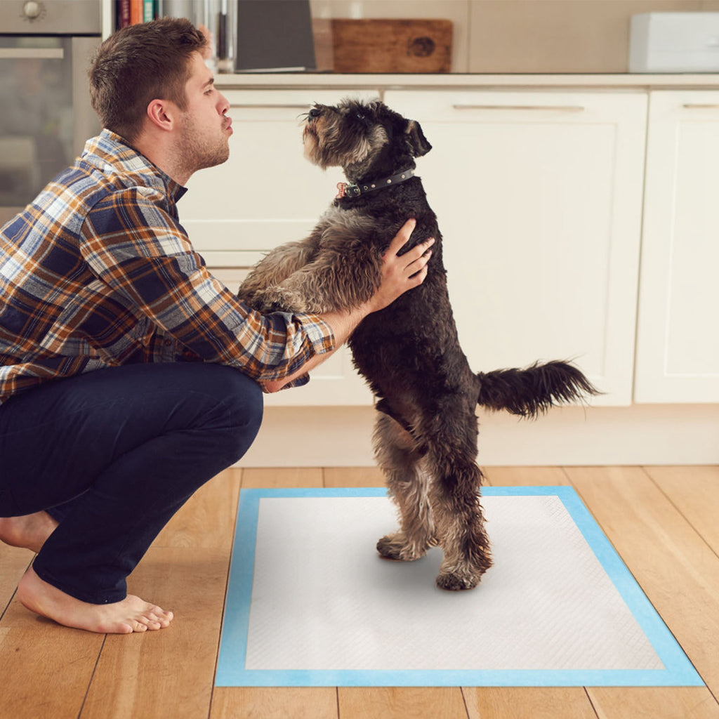 Dog and cat training pads, 50-pack, 24 x 18 inches