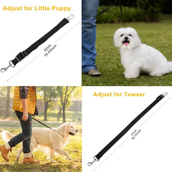 b3b070877d9d221b61034eb53b371fcc
