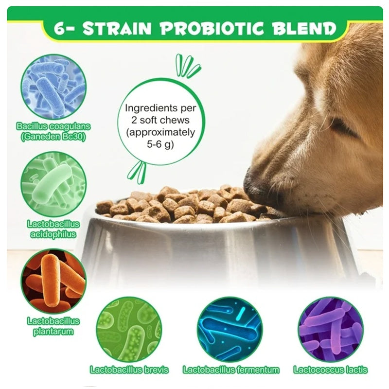 6-strain probiotic blend infographic with a dog eating chews from a bowl