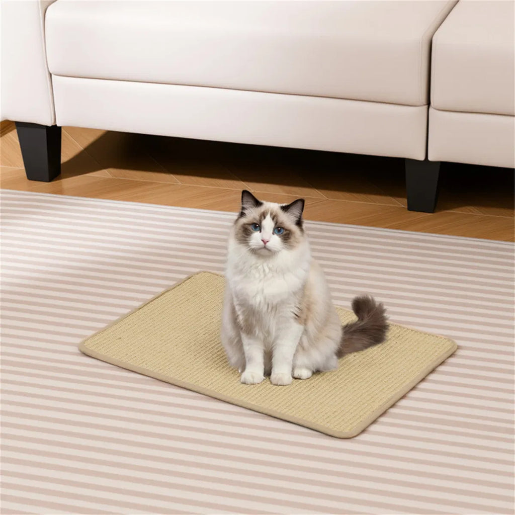 Ragdoll cat sitting on a sisal floor mat in a living room