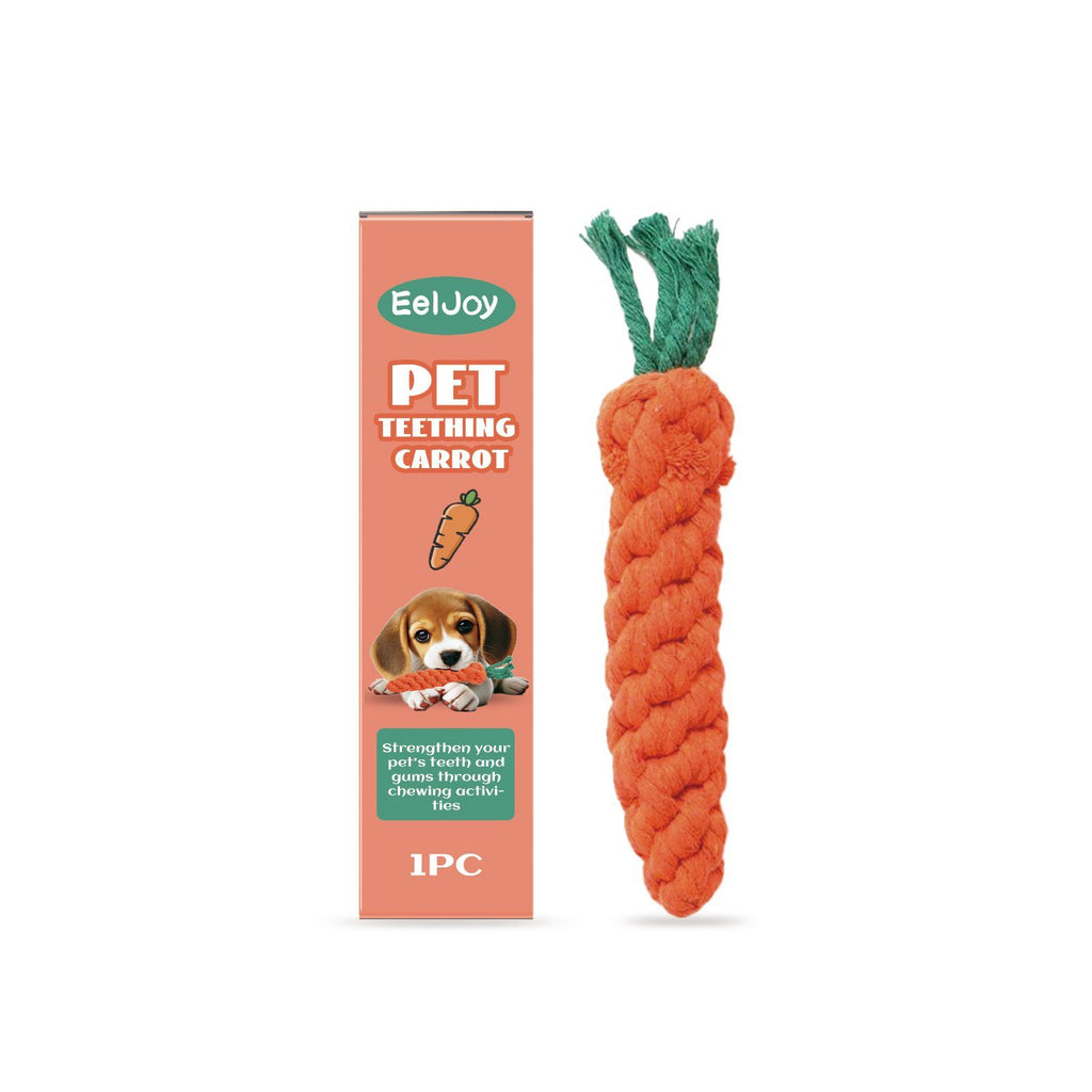 Close-up of the carrot-shaped chew toy and its retail box on a plain background