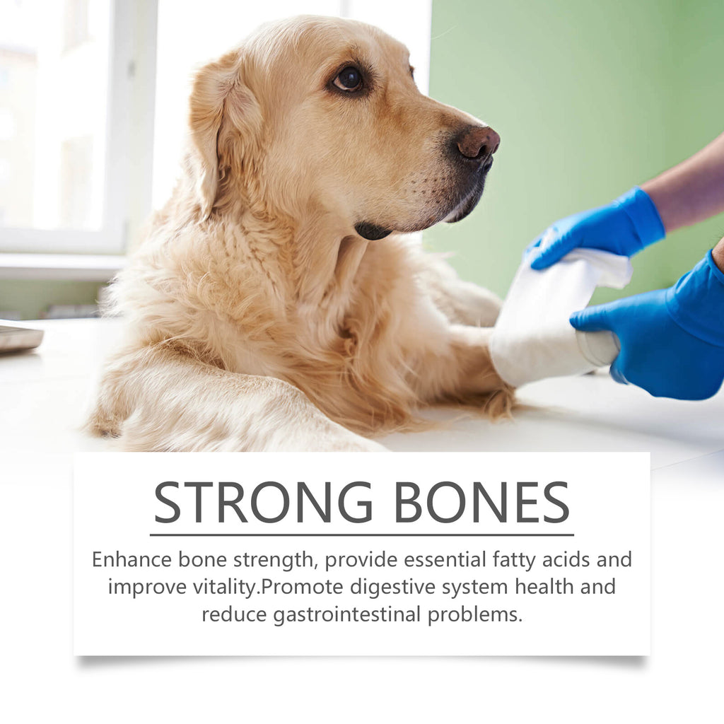 Vet checking a golden retriever's paw, Strong Bones text overlay