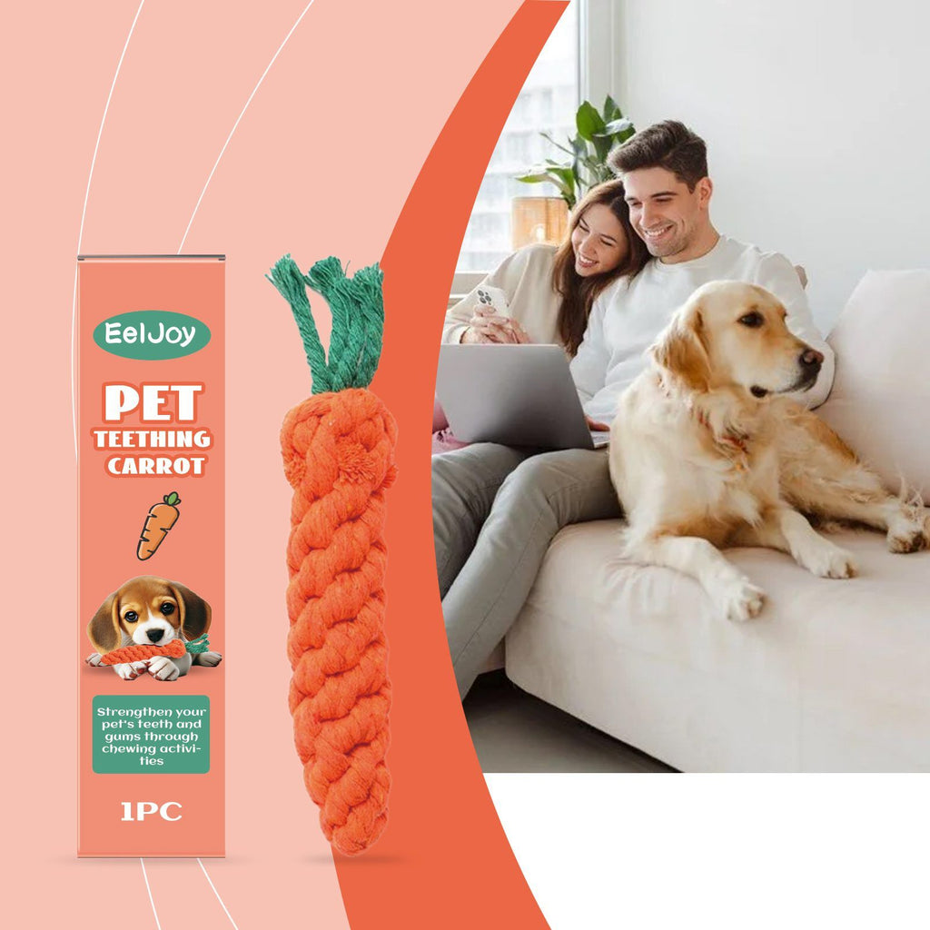 Couple with a laptop and golden retriever on a couch, carrot-shaped chew toy in the foreground