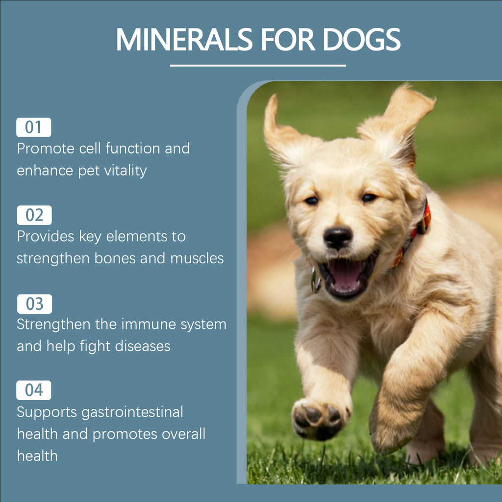 Infographic listing four dog mineral supplement benefits beside a running golden retriever puppy