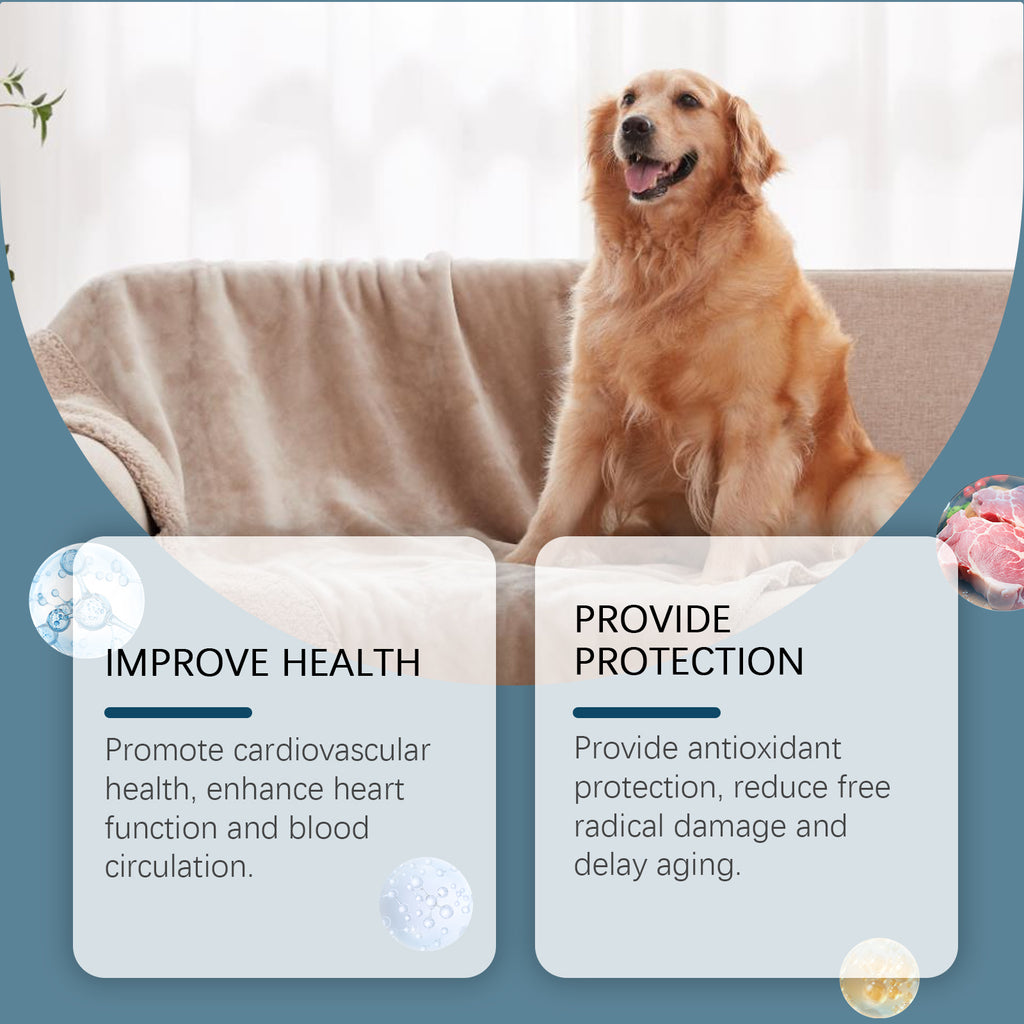 Golden retriever resting on a couch with improve health and provide protection benefit callouts